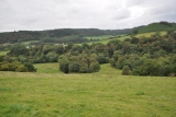 Pheasant shooting cumbria