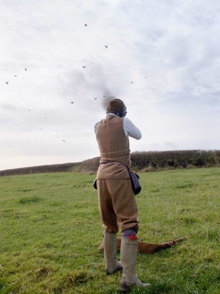 Pheasant Shooting Images