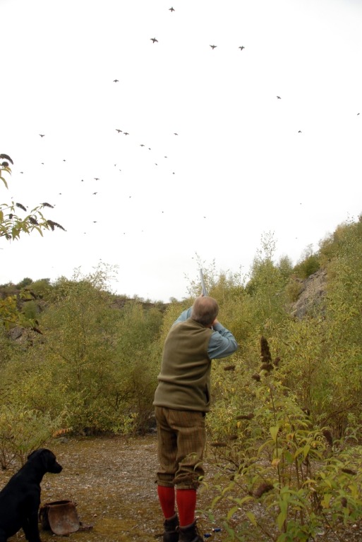 Barrow Farm, Pheasant, Partridge Shooting In Somerset GunsOnPegs