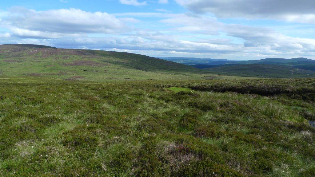 Glendye Grouse Moor, Grouse Shooting In Aberdeenshire | GunsOnPegs