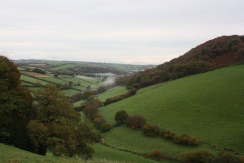 Withycombe Shoot, Exmoor, Pheasant, Partridge, Woodcock, Pigeon ...