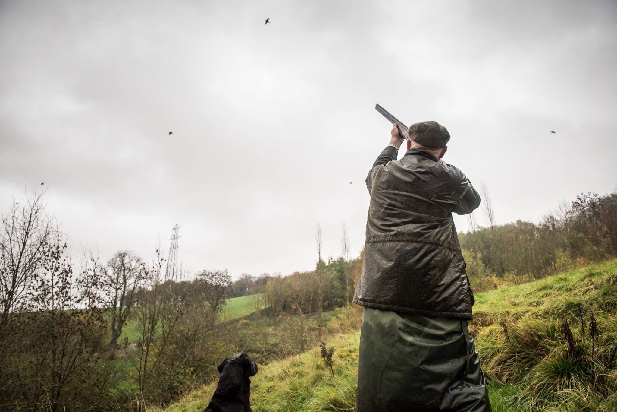 Lady's Wood Shooting School, Gloucestershire - Pheasant, Partridge ...