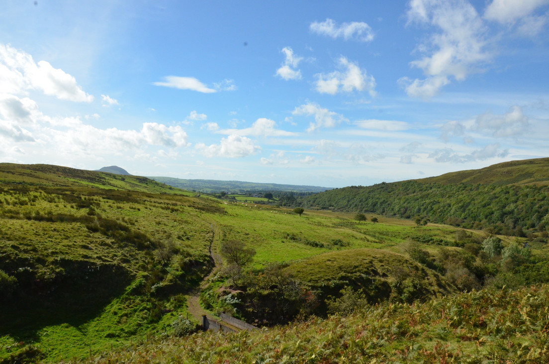 Cleggan Estate, Co Antrim - Availability On Gunsonpegs