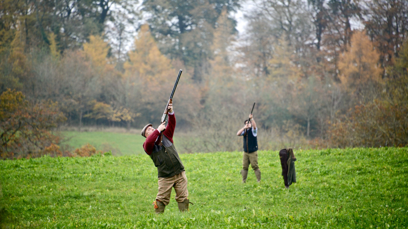 Great Fulford Estate Shoot, Devon - Availability on GunsOnPegs